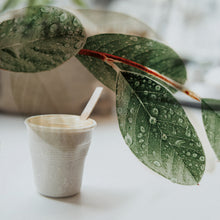 Lade das Bild in den Galerie-Viewer, 6 Bio-Espressobecher Johanna 75 ml - Typ Fichte | Nachhaltig, Mehrweg, Biologisch